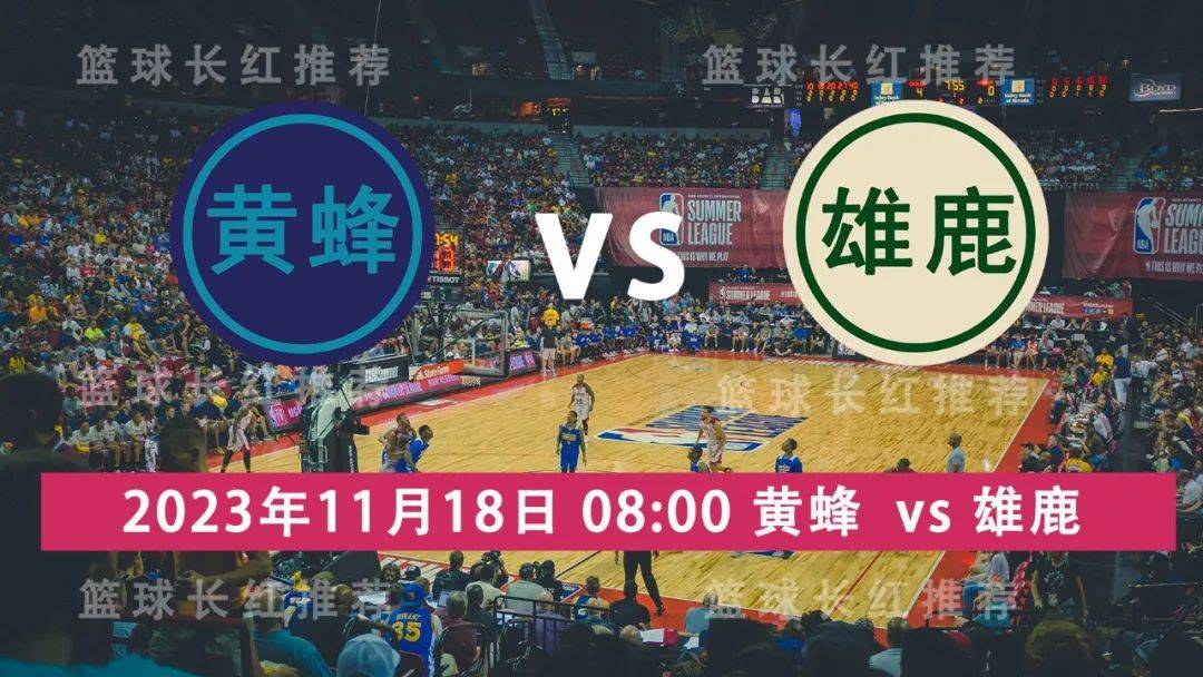 NBA 11月18日 黄蜂 对阵 雄鹿 极限反弹