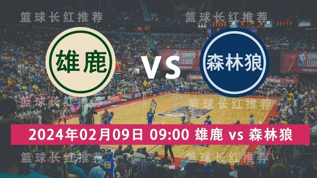 NBA 02月09日 雄鹿 vs 森林狼